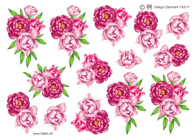 3D Røde og lyserøde roser